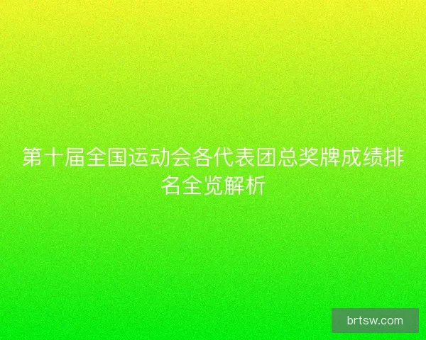 第十届全国运动会各代表团总奖牌成绩排名全览解析
