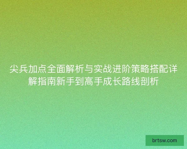 尖兵加点全面解析与实战进阶策略搭配详解指南新手到高手成长路线剖析