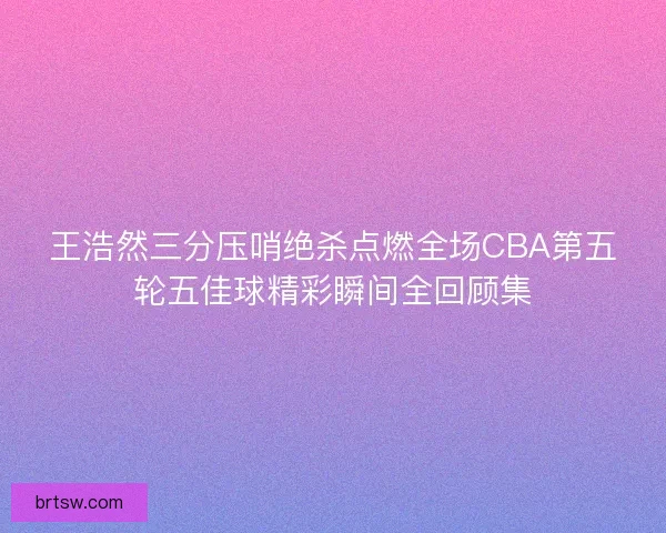王浩然三分压哨绝杀点燃全场CBA第五轮五佳球精彩瞬间全回顾集